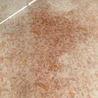 موکت 12متری بدون هیچ زدگی|موکت|ملکشاهی, |دیوار