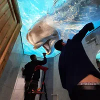 تعویض تعمیر نظافت وفروش و نصب  -(کشسان)-