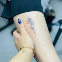 ارایش دائم فیبروز شیدینگ و تتوی بدن|خدمات آرایشگری و زیبایی|بندر گناوه, |دیوار