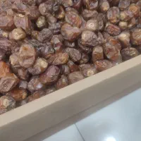 فروش عمده ی انواع خرمای مضافتی،زاهدی،ربی|خوردنی و آشامیدنی|بوکان, |دیوار
