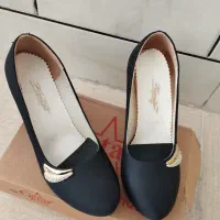 کفش مجلسی|کیف، کفش، کمربند|مرودشت, پشت سایپا|دیوار