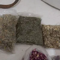 آویشن بابونه گل گاوزبان بومادران پونه چوب دارچین