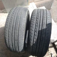 دوحلقهلاستکرنو ساندرو شصتدرصد