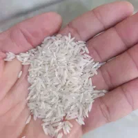 فجر سوزنی|خوردنی و آشامیدنی|مزرعه کتول, |دیوار