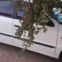 سمند مدل ۹۱ کم کار بدون رنگ تمیز سلامت|خودرو سواری و وانت|قم, سالاریه|دیوار