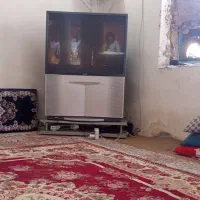 یک عددتلویزیون سیستم دار