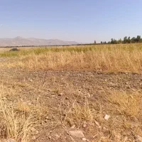 فروش-فوری-زمین-مسکونی-روستایی-کوروش-آباد