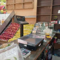 پالت میوه کامل درحد نو