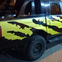 استیکر بدنه ماشین های افرود  کارفود و ....|قطعات یدکی و لوازم جانبی|تهران, اختیاریه|دیوار