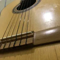 گیتار دالاهو|گیتار، بیس، امپلیفایر|گنبد کاووس, |دیوار