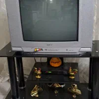 تلویزیون پارس|تلویزیون و پروژکتور|گلبهار, شهر جدید گلبهار|دیوار