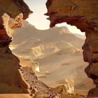 حواله ماشین