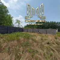 زمین مسکونی با نامه بنیاد در منطقه امن واعیان نشین|فروش زمین و ملک کلنگی|کیاشهر, |دیوار