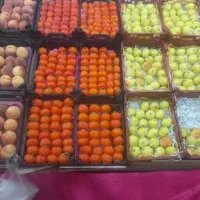 استخدام برای کارکردن درمیوه فروشی