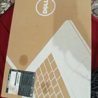 کارتن لپتاپ مارک دل