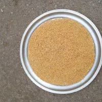 تخم جو هاشمی