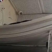 کارتون پلاست
