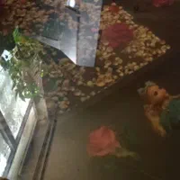 میز عسلی بزرگ|مبلمان خانگی و میز عسلی|فردیس, شهرک ناز|دیوار