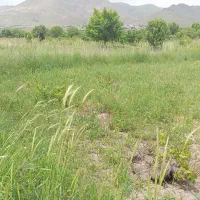فروش-زمین-و-باغ-قزوین-روستای-توریستی-رزجرد