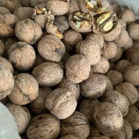 گردو محلی|خوردنی و آشامیدنی|کوچصفهان, |دیوار
