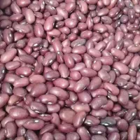 برنج روغن چای لوبیا ونظم دهنده دوتاودوتاروسری نو