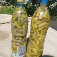 ترشی نریک
