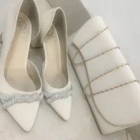 کیف و کفش ست مجلسی