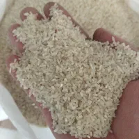 سرلاشه طارم درجه یک اعلا