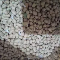 لوبیااشیکیلویی۱۸۰هزار
