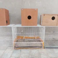 قفس وآغل پرنده