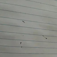 سیم کارت دایمی ۰۹۱۱۱۷۰۴۵۷۲