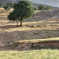 زمین مسکونی