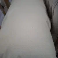 دوعدد بالش پر