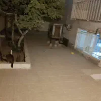 ۱۲۰ متر ۲ خواب ویلایی بدون مالک /حیاط مستقل|اجارهٔ خانه و ویلا|اندیشه, اندیشه فاز ۴|دیوار