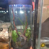 اکواریوم استوانه پلنت با لوازم