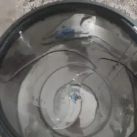 سبزی خورد کن