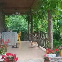 ویلایی ۱۵۰۰ متری۱۲۰ متر بنا (دنج،ویو جنگلی و شالی)|فروش خانه و ویلا|خمام, |دیوار