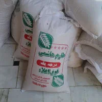 طارم هاشمی