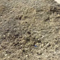 فروش کود حیوانی