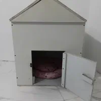 خانه ،لانه سگ