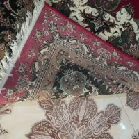 فرش دوازده متری|فرش|خمینیشهر, |دیوار