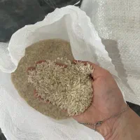 خرید با کیفیت و با قیمت مناسب از تولیدکننده|خدمات پذیرایی، مراسم|قائمشهر, |دیوار