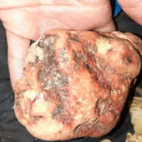 سنگ های قیمتی و نیمه قیمتی|جواهرات|ساری, |دیوار