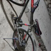 رضا ناصری|دوچرخه، اسکیت، اسکوتر|لیلان, |دیوار