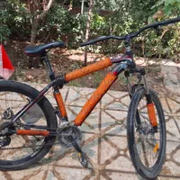 دوچرخه فونیکس حرفه ای کوهستانی