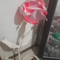 اباژور|چراغ خواب و آباژور|تهران, استاد معین|دیوار