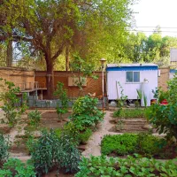 مرکز ترک اعتیاد بانوان اهواز|خدمات آرایشگری و زیبایی|اهواز, کوی ملی راه|دیوار
