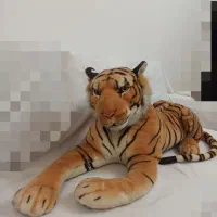 ببر