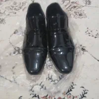 یکجفتکفشورنی سالم درحد