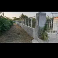 فروش و تهاتر باغ کیوی  شمال پربار با خودرو|فروش زمین و ملک کلنگی|تهران, اکباتان|دیوار